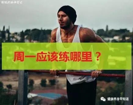 为什么大前锋在比赛中需要特别的体能训练?_0